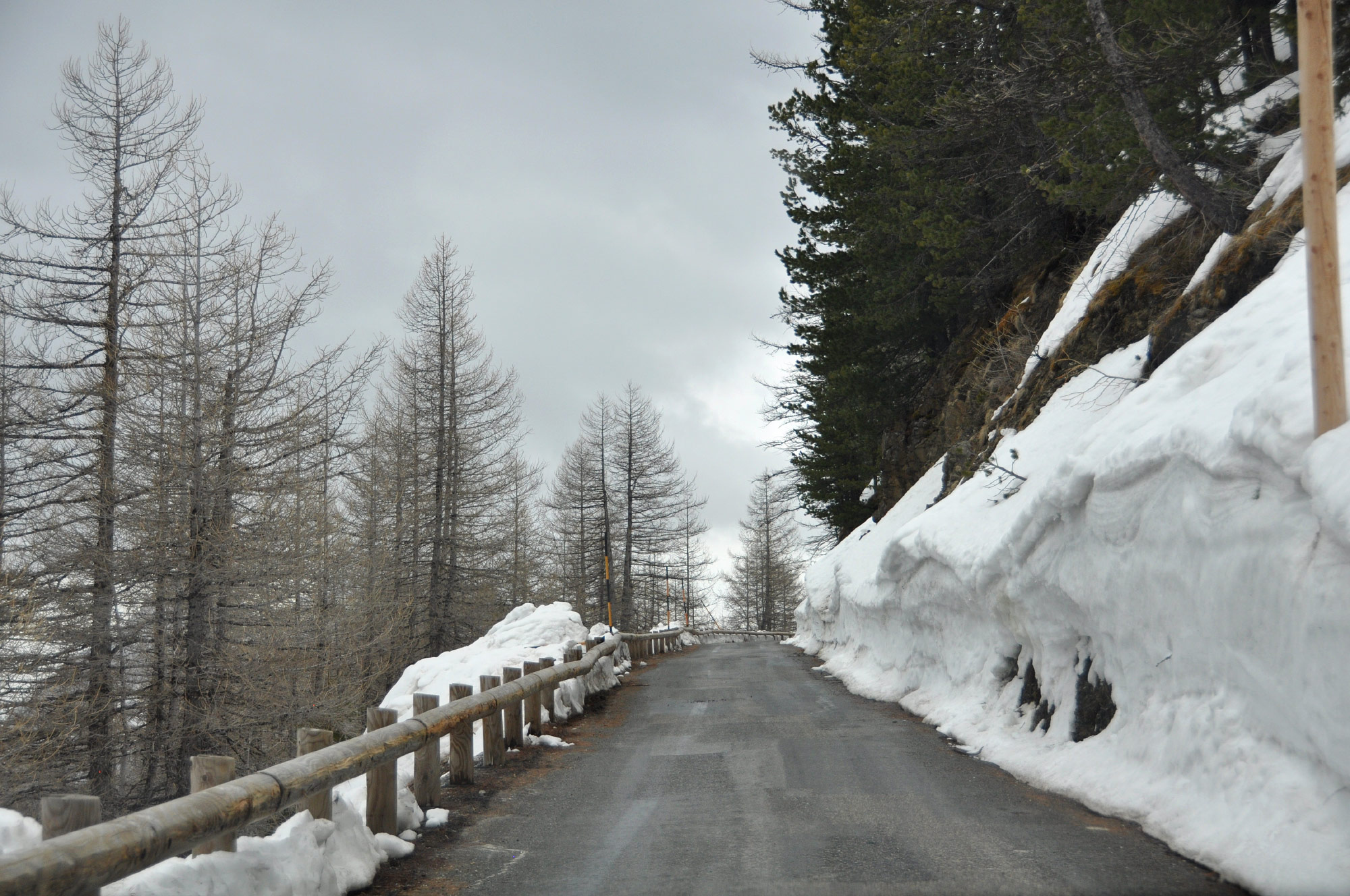 Col d'Allos